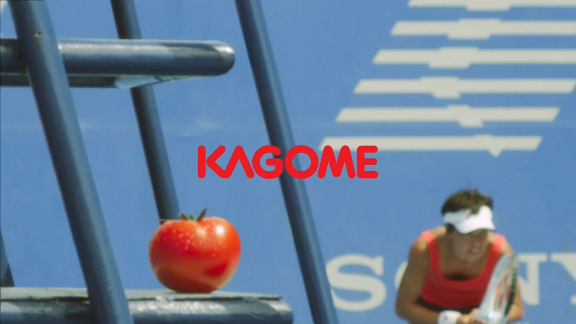 KAGOME「再生力アップ」